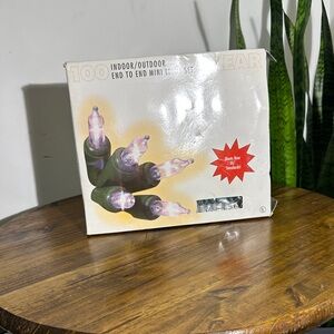 Holiday Time Clear Mini Light Set